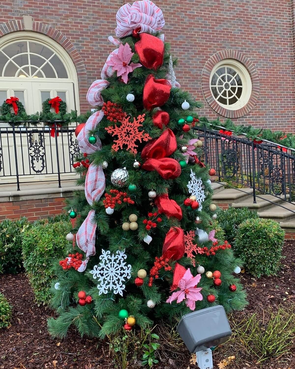 It’s the most wonderful time of the year!