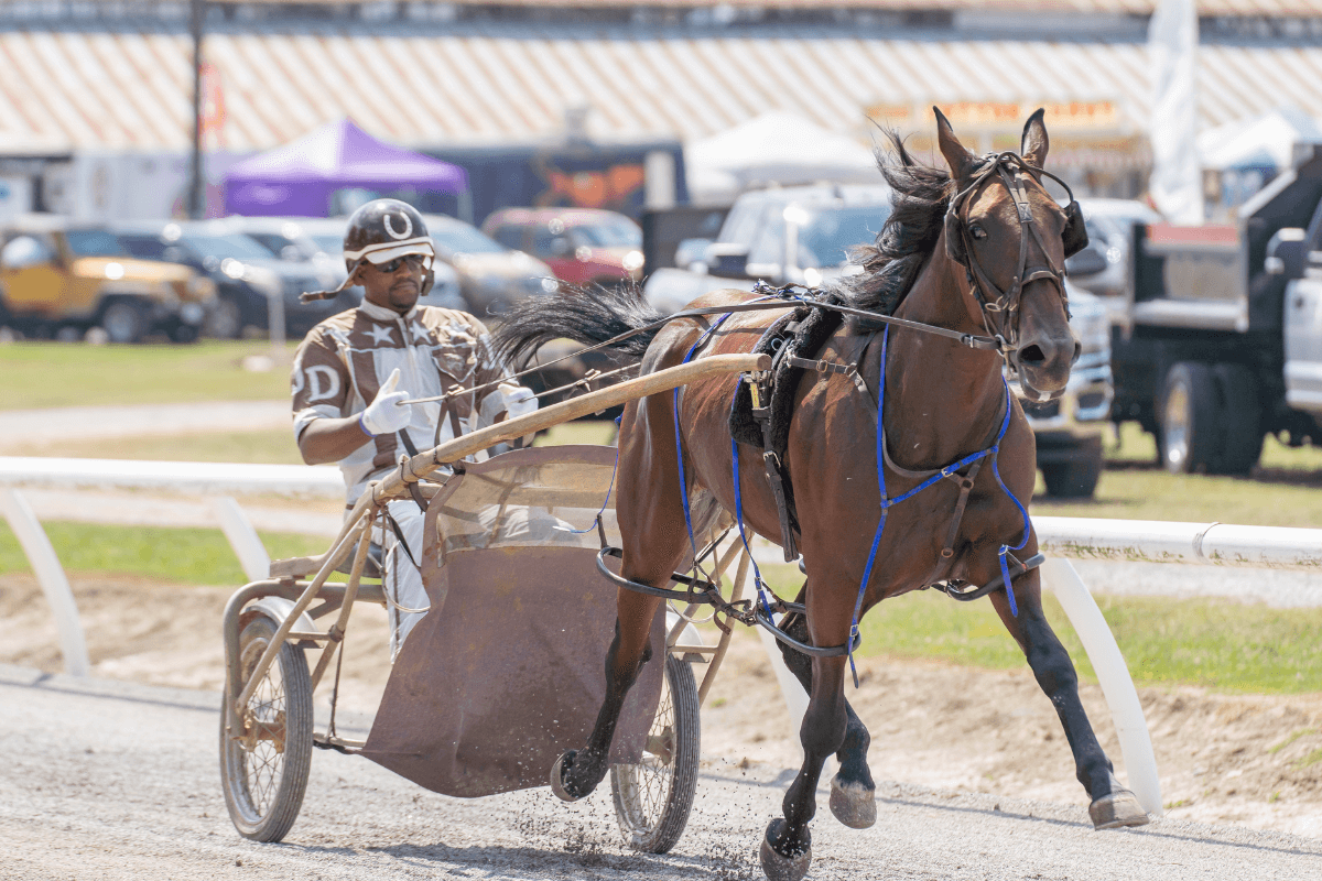 The Lincoln County Fair and Emily Pitcock Promote a Legacy and Life Steeped in Agriculture.