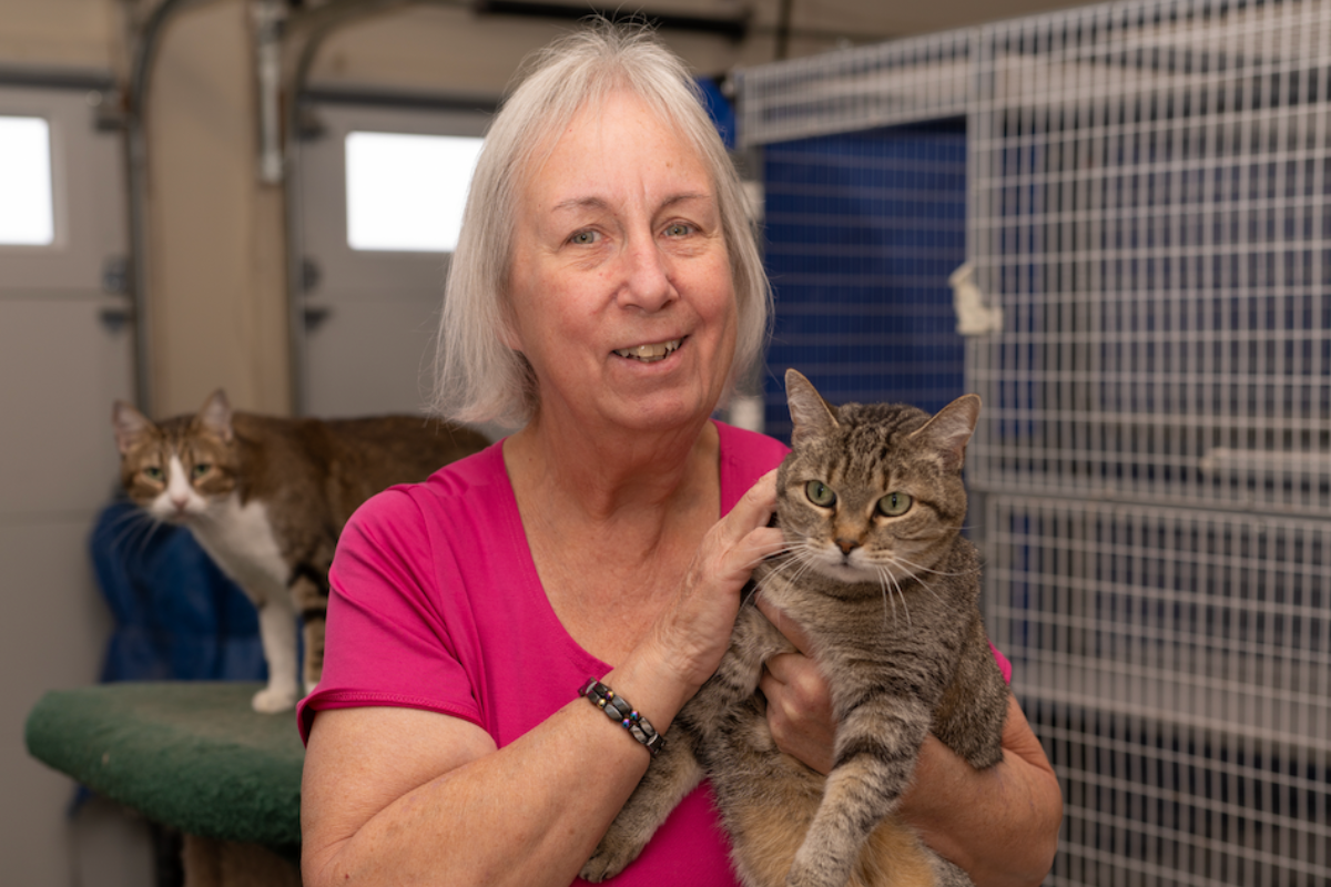 Gail Wilbur’s Patches Place Cat Rescue Impacts the Local Feral and Abandoned Cat Population.