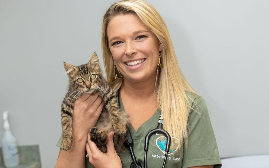 Dr. Hannah Renfroe: Bringing compassion, care, and expertise back home