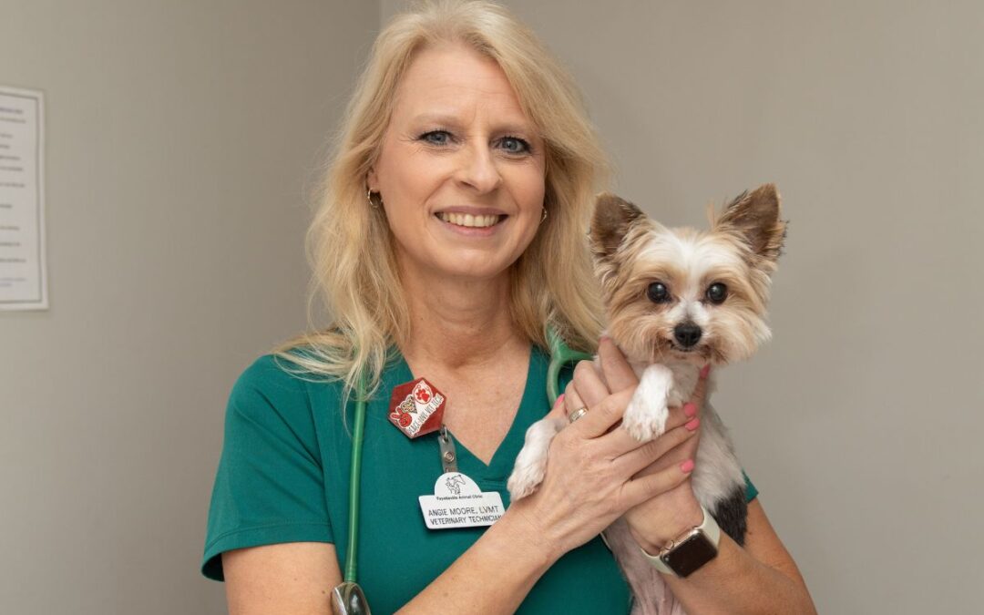 Angie Moore: A journey to save an old soul