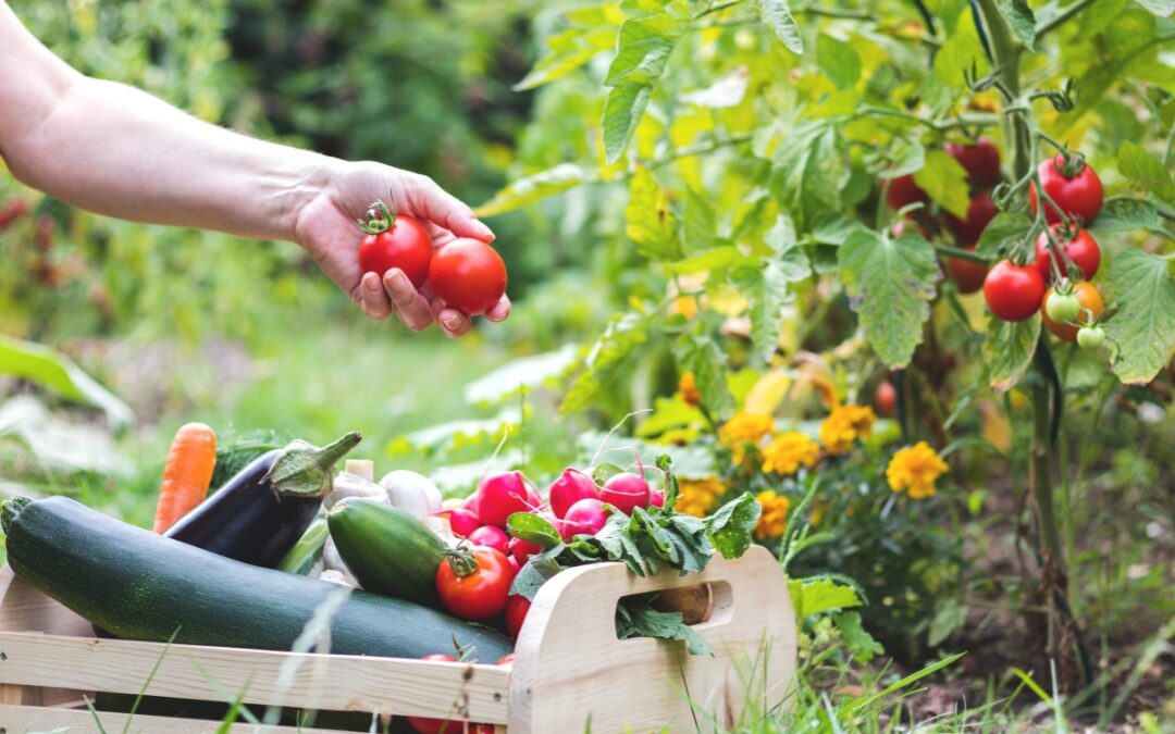 Lincoln Bedford Moore Farmers Co-op: Ready for spring