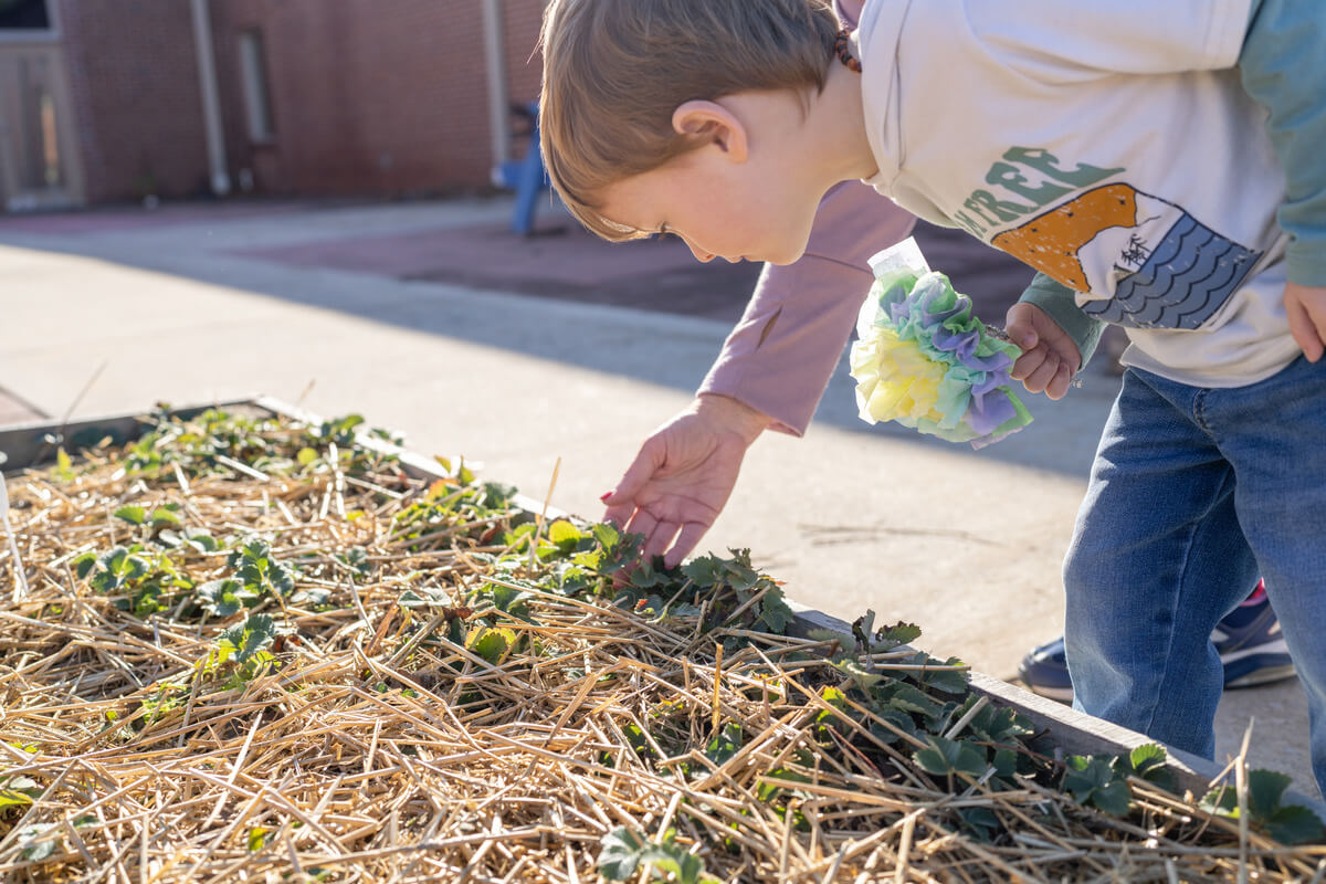 Franklin County Garden Club: Blooming Where They’re Planted for the Past 94 Years