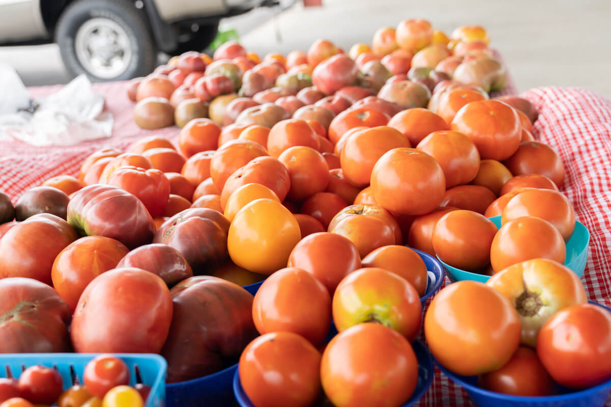 The Franklin County Farmers Market Gears up for the Summer