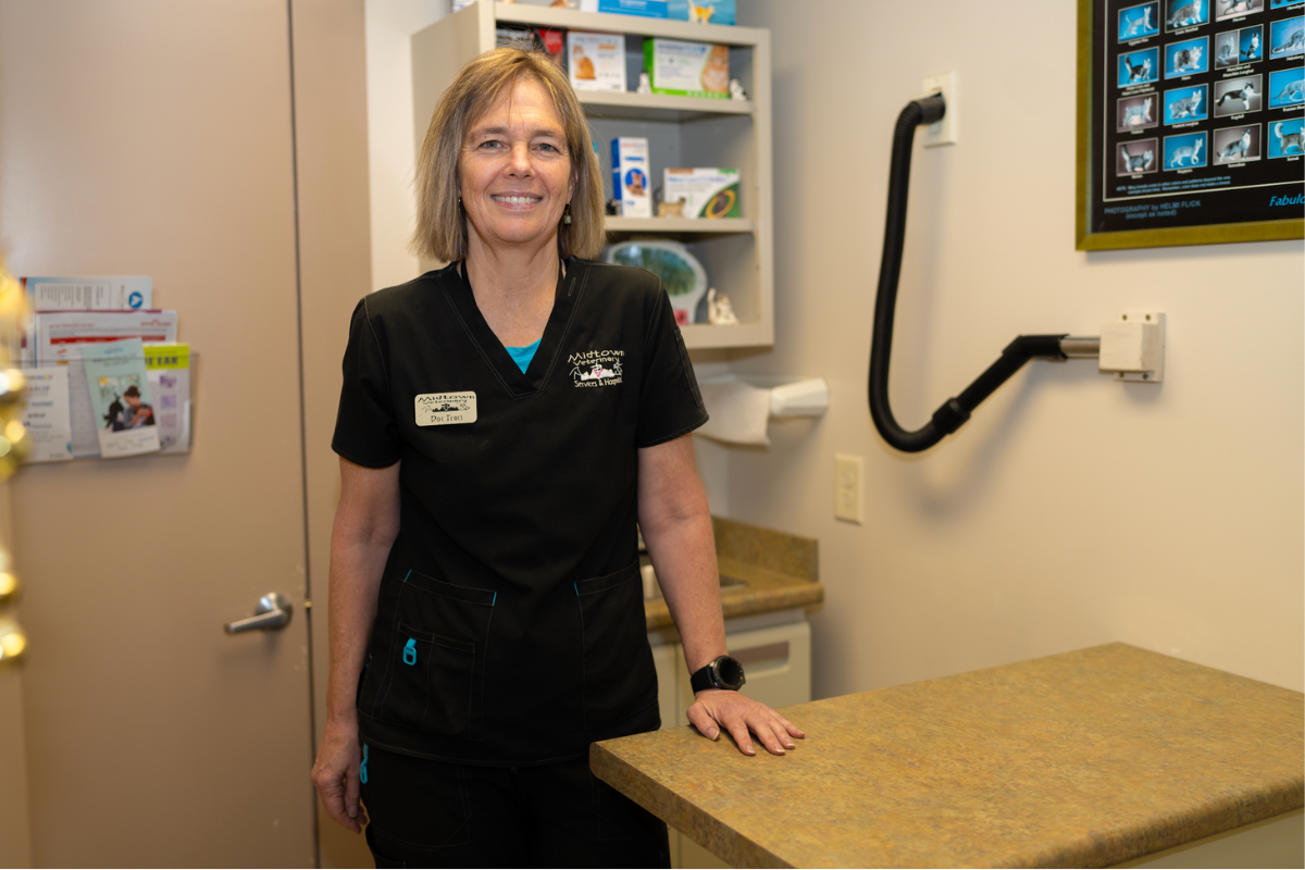 Midtown Veterinary Clinic’s Commitment to Animal Welfare