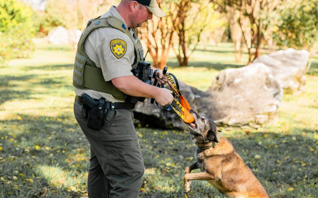 Ethan Hall: Serving with integrity