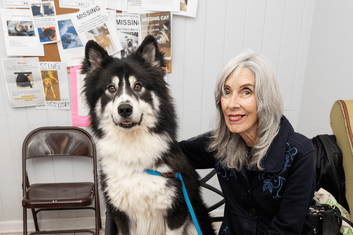Harmony for Hounds