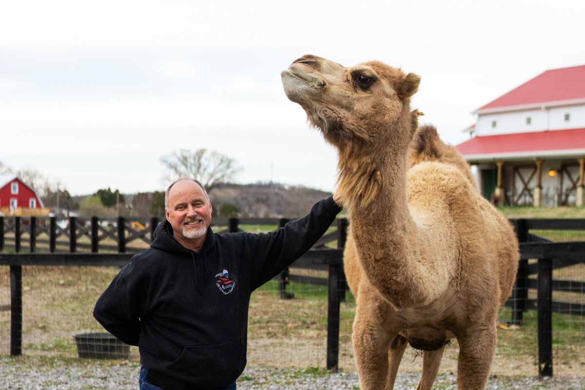 The Wedding Barn & Event Venue @Likazoo: From Animal Addiction to Wedding Wonderland