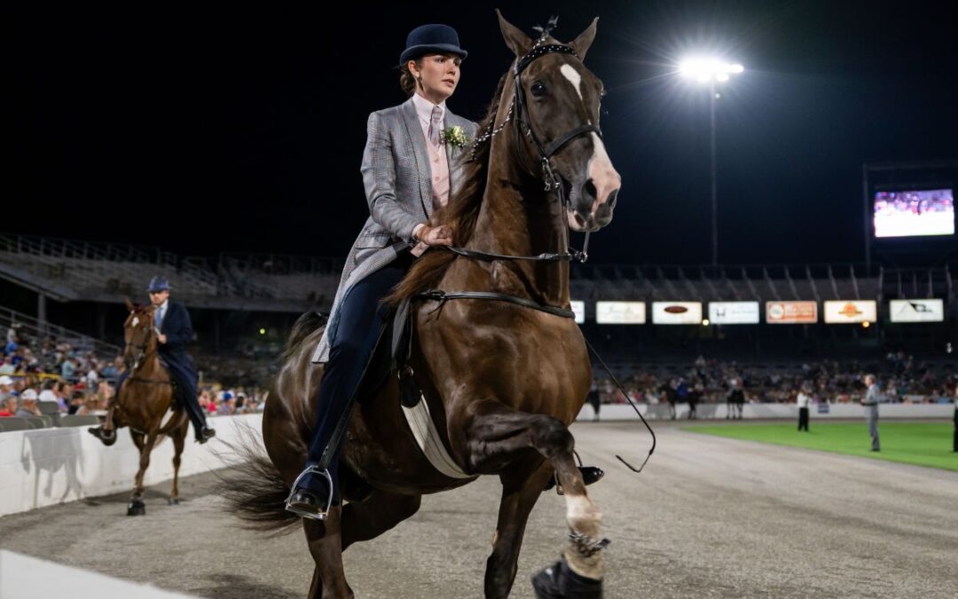 Sponsored Content: Rural 1st continues their long-standing support of the Tennessee Walking Horse National Celebration