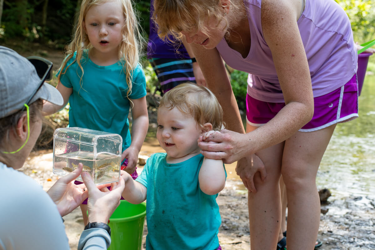 Area Activities Welcome Families to Make the Most of Summer.