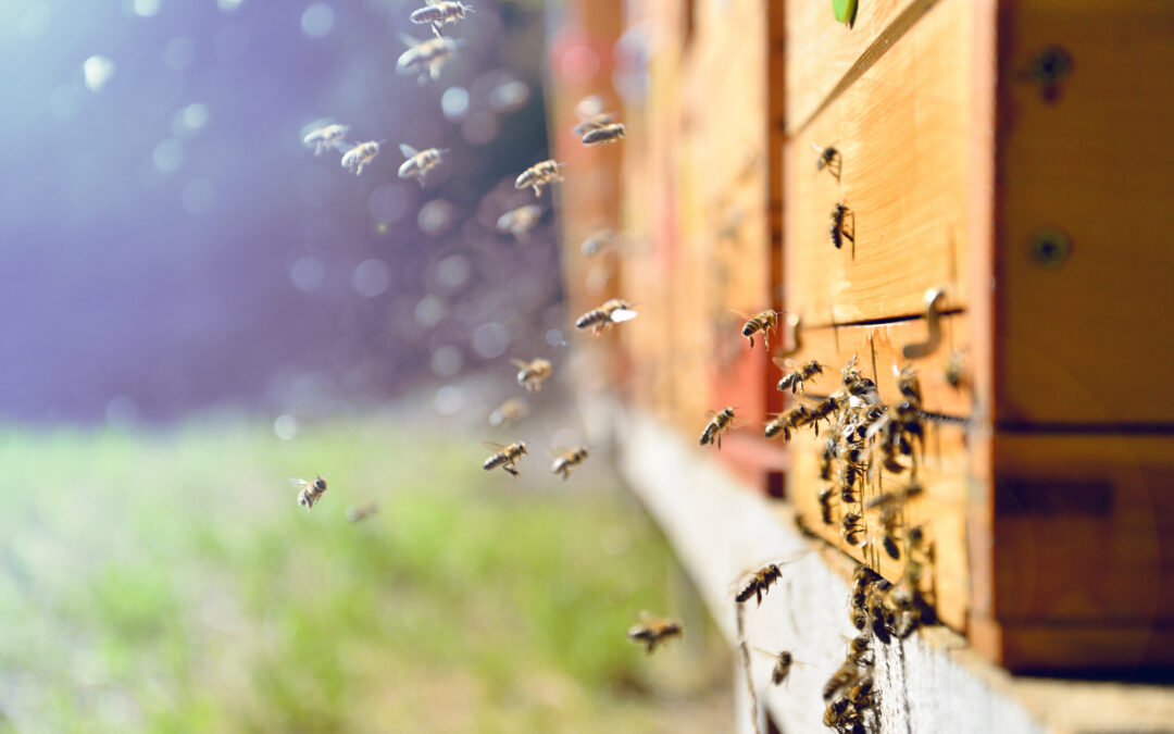 Terry Floyd: From recliner to restoration