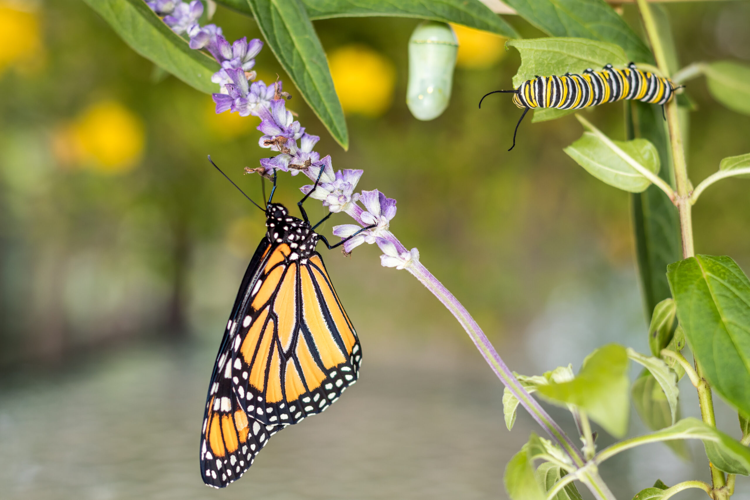 Teresa Hall: Heroes in the small things