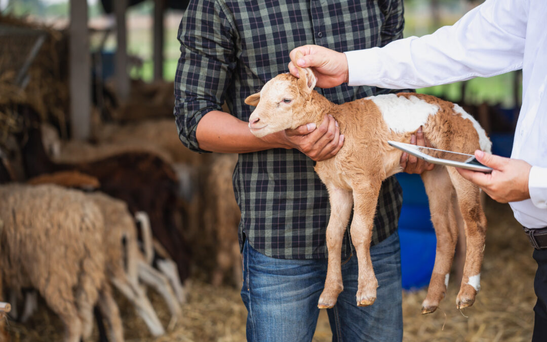 Kim Miller Parker: Planting seeds for the future