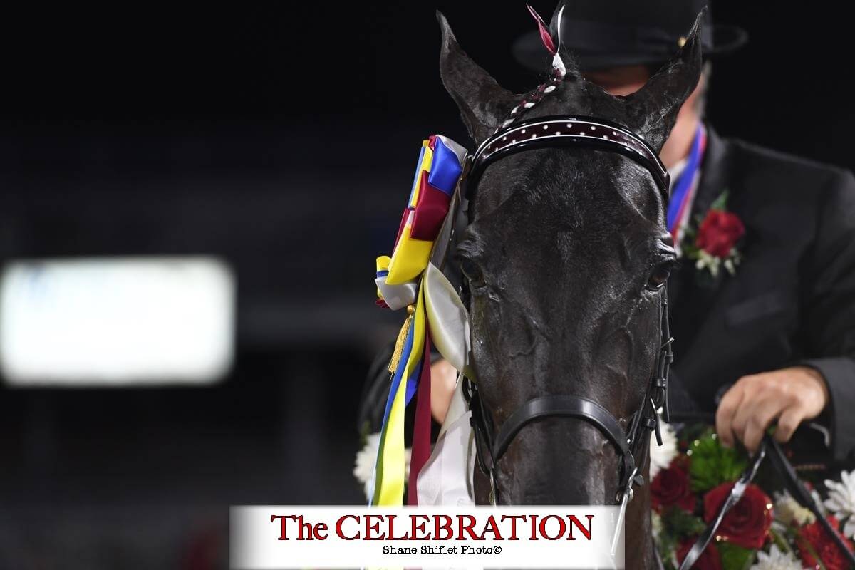 Celebration enhancements are underway