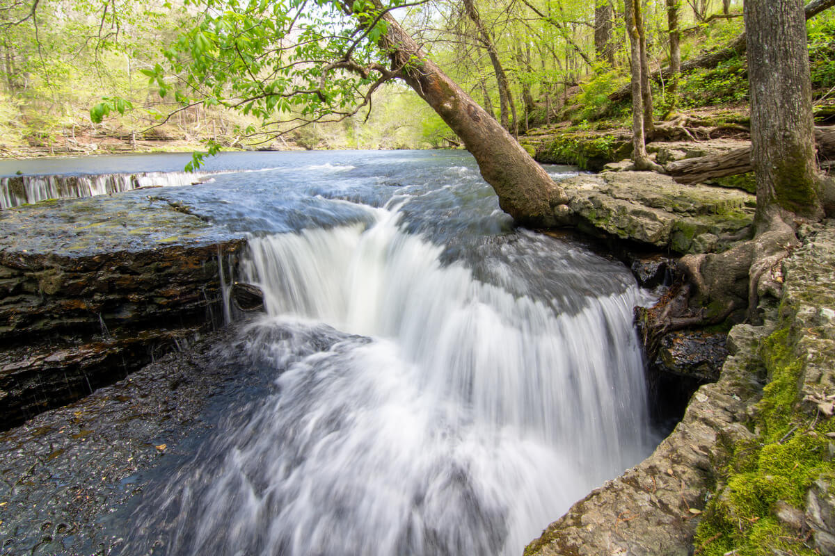 A Trip to the Beautiful Duck River Is a Trip Worth Taking, And Mark Thomas Is Working to Make It Safer.