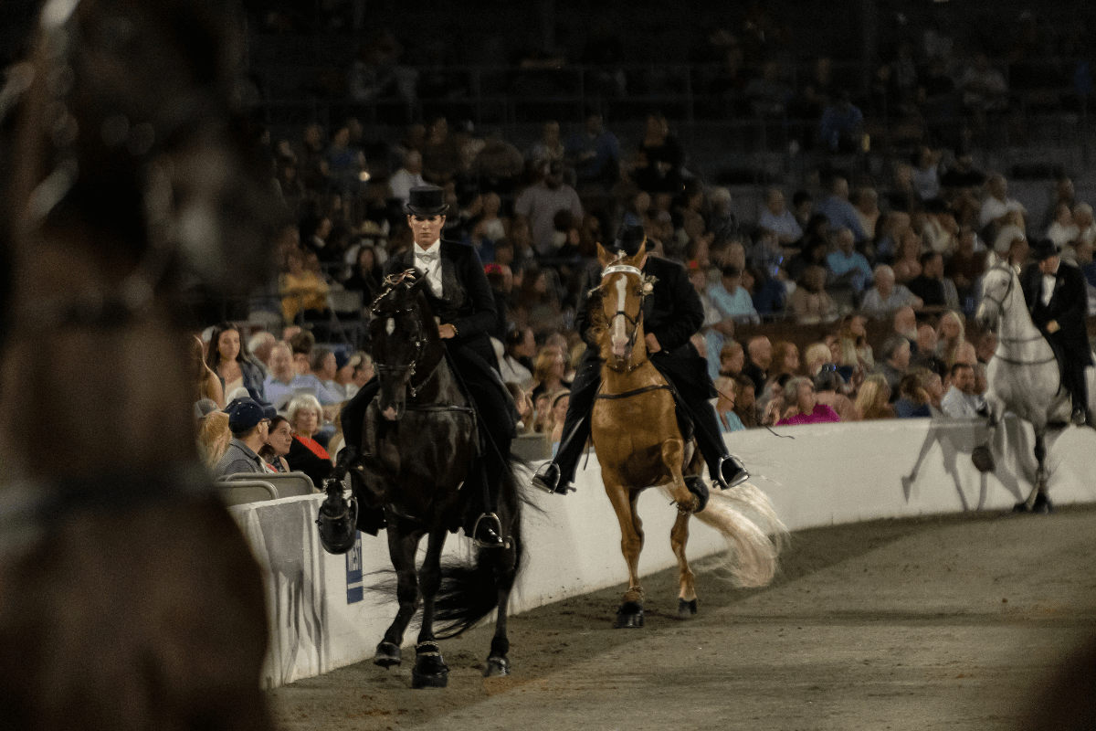 The Celebration Welcomes Cooper Steel as Its Arena Partner