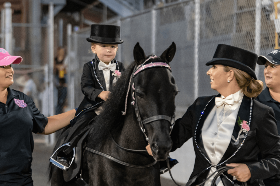 The Celebration Cooper Steel as Its Arena Partner