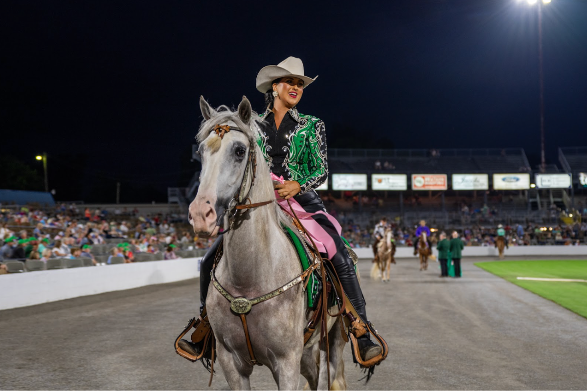 Saddle Up: Equestrian Excitement at the Celebration Grounds