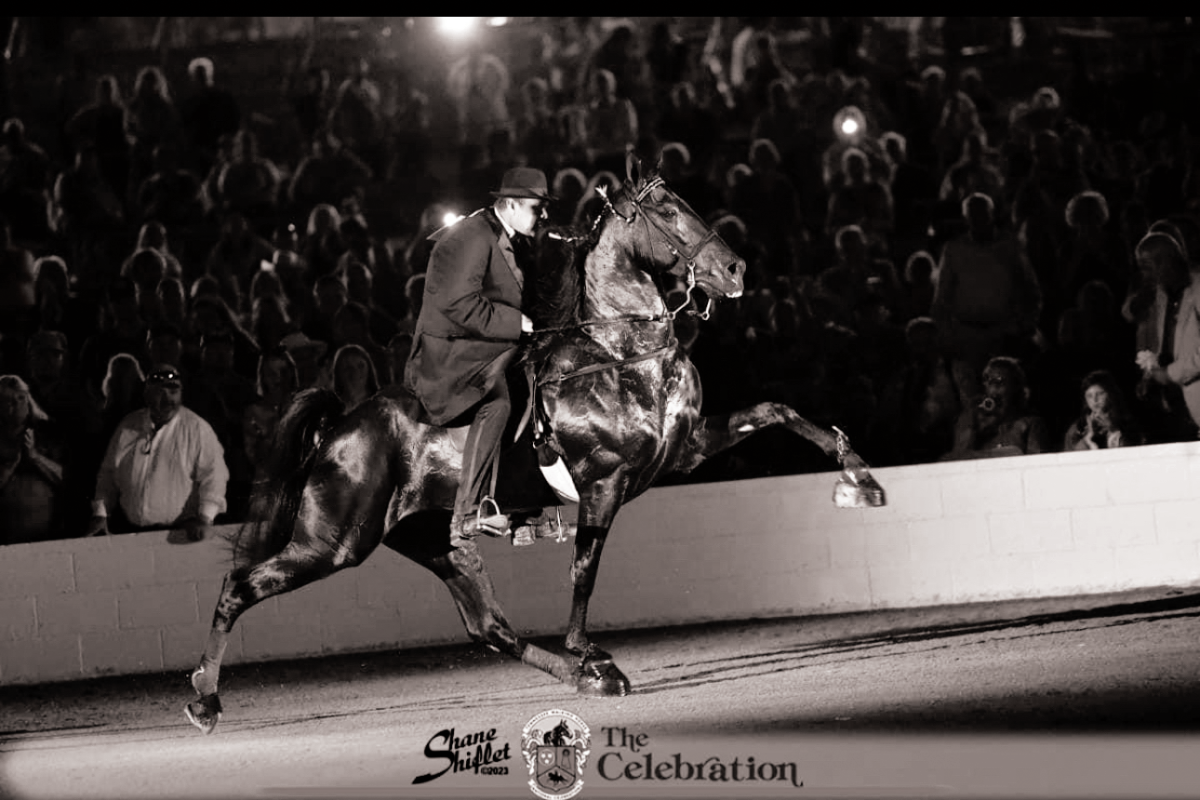 John Allan Callaway: Saddling up for Success