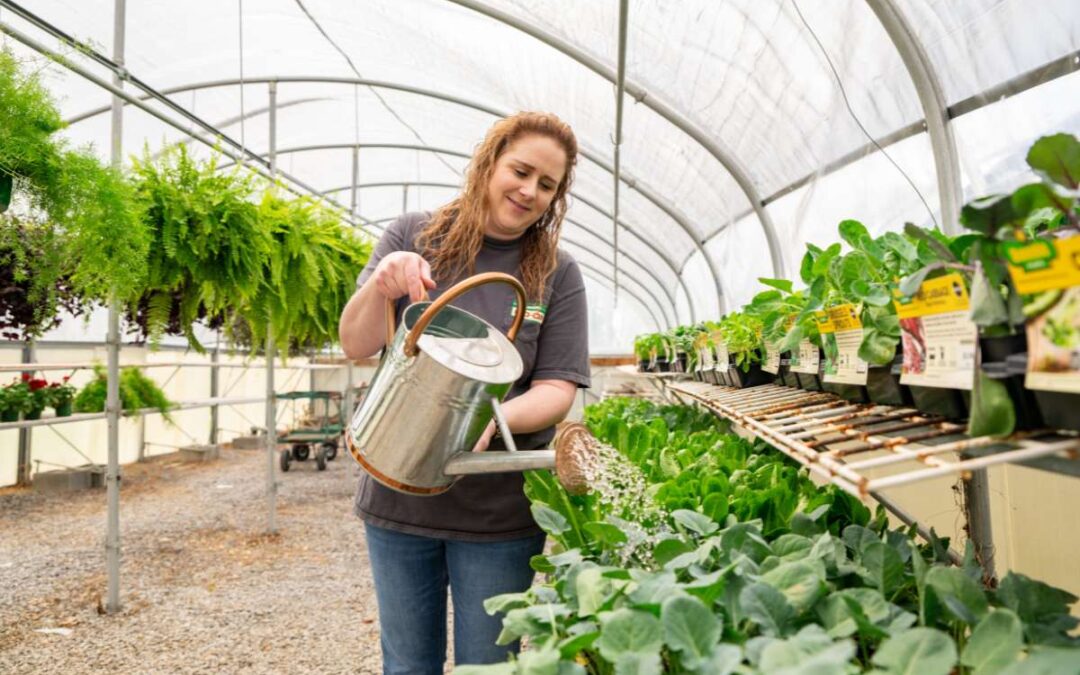 Shelbyville-Bedford Co-op: From farming to fashion