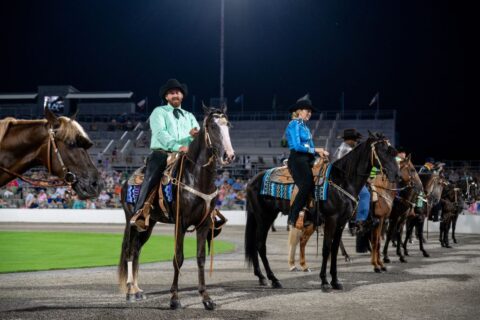 Tennessee Walking Horse National Celebration - Shelbyville, TN Good
