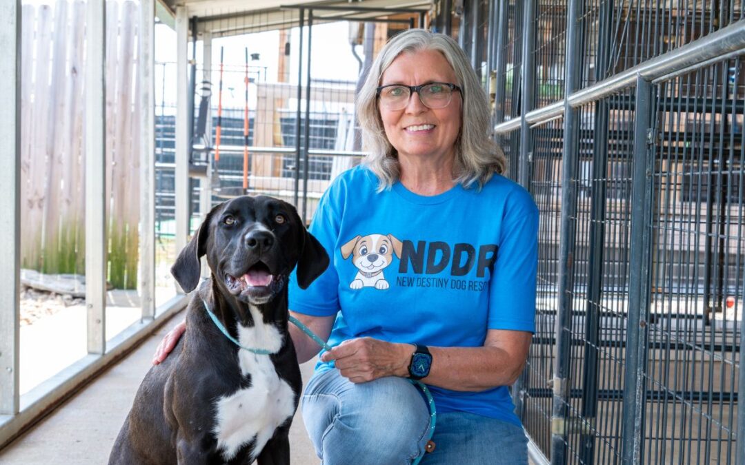 Donna Clanton & New Destiny Dog Rescue: Best friends to ‘man’s best friend’