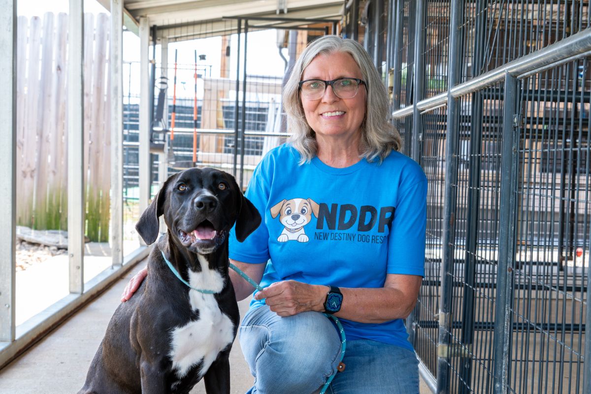 Donna Clanton & New Destiny Dog Rescue: Best friends to ‘man’s best friend’