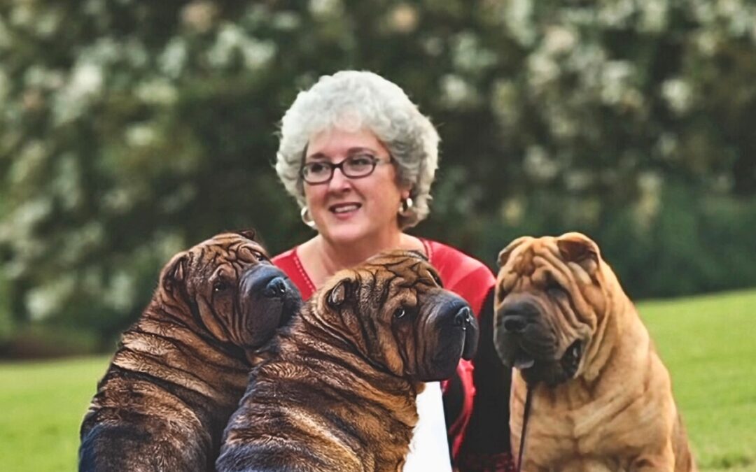 All Seasons Pet Crematory: Serving Shelbyville with compassion