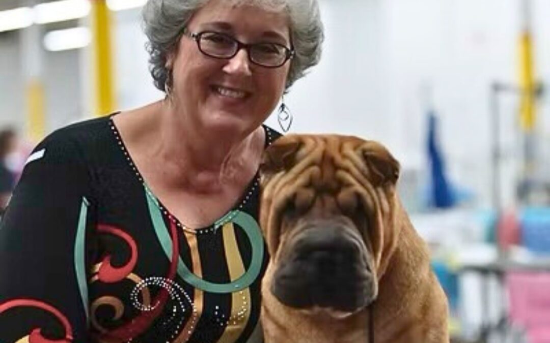 All Seasons Pet Crematory: Where memories are protected