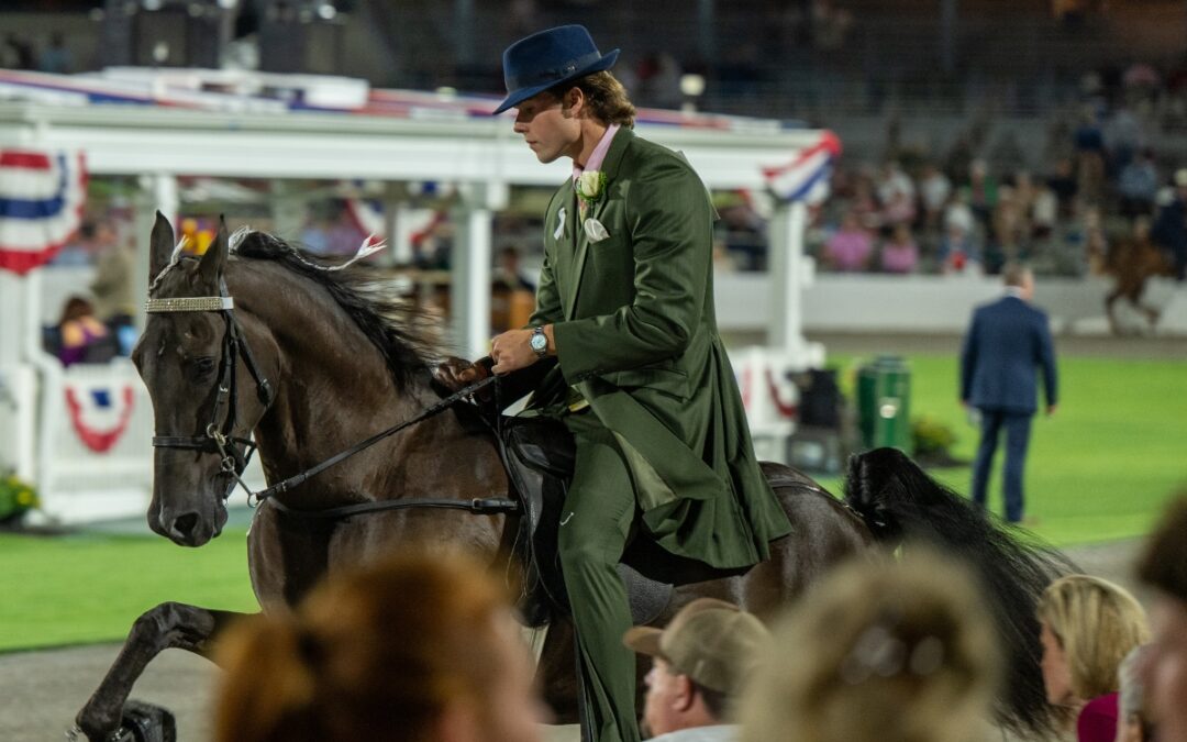 Tennessee Walking Horse National Celebration
