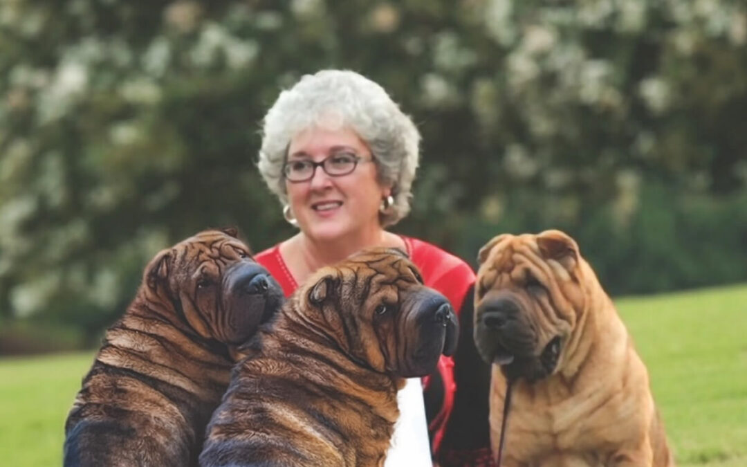 All Seasons Pet Crematory: Honoring life’s cherished bonds