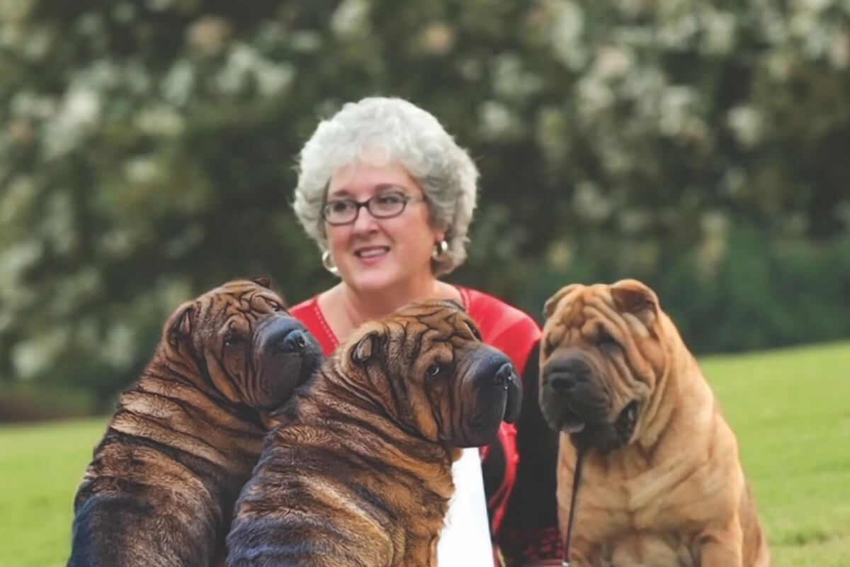 All Seasons Pet Crematory: Honoring life’s cherished bonds
