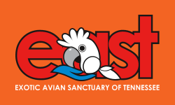 Exotic Avian Sanctuary of Tennessee