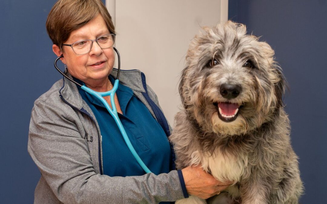 Amy Nickels: A lifelong love of animals and a successful career