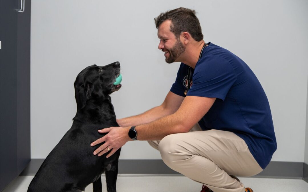 Ross Capps: Healing animals and building community