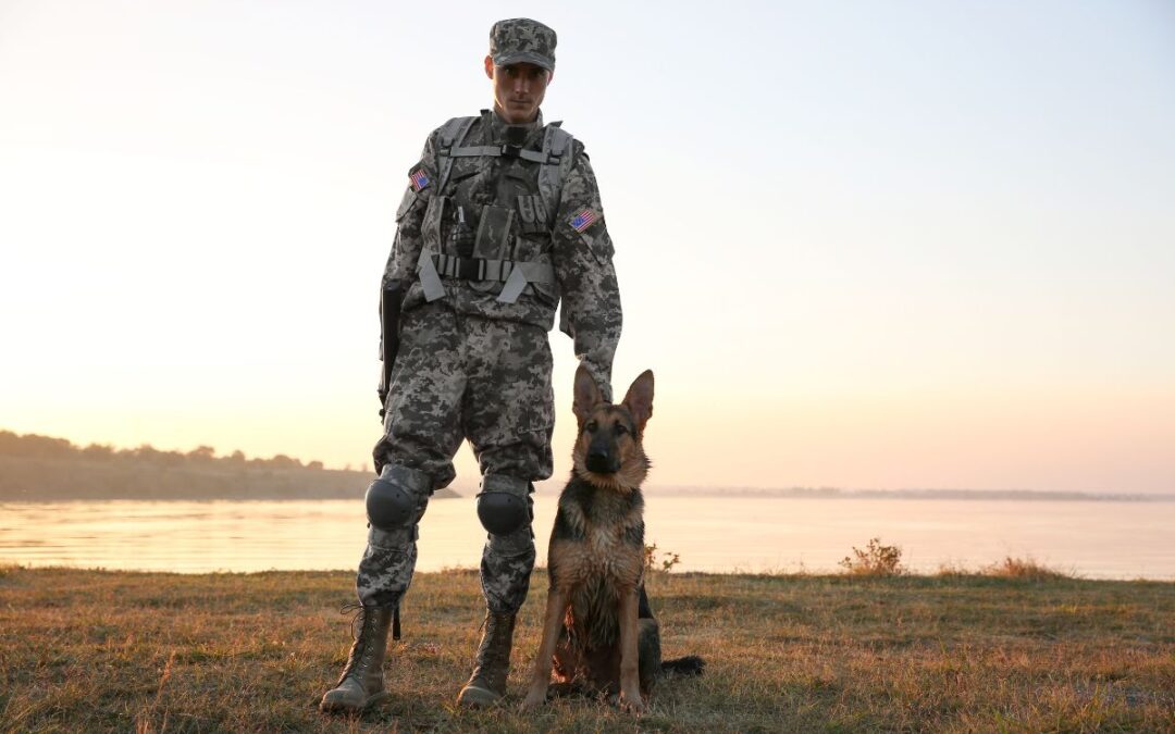 Letter From the Editor