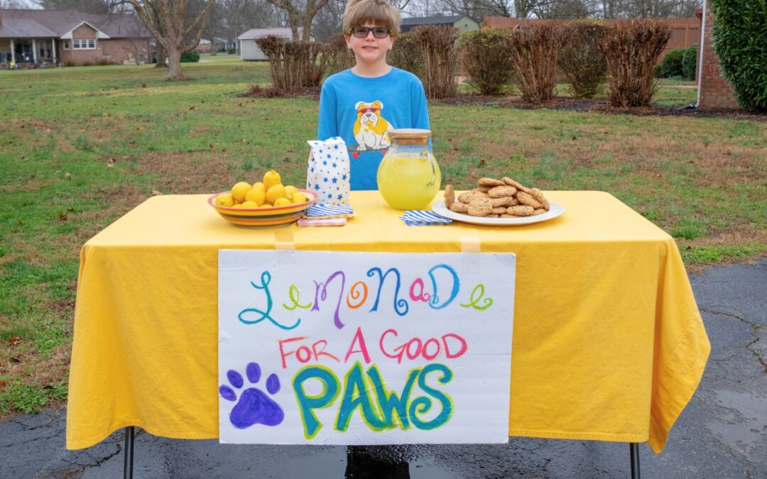 Cal Henderson: Lemonade stand with heart