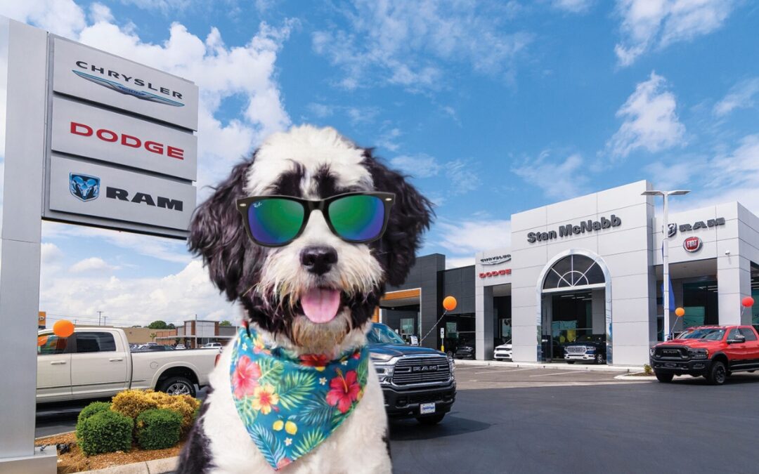 Stan McNabb Automotive: The Dog Days of Savings Are Here!