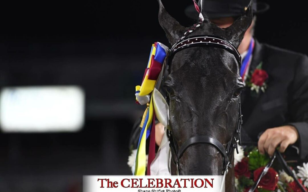 Celebration enhancements are underway