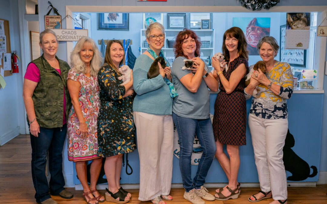 Women Empowering Local Nonprofits