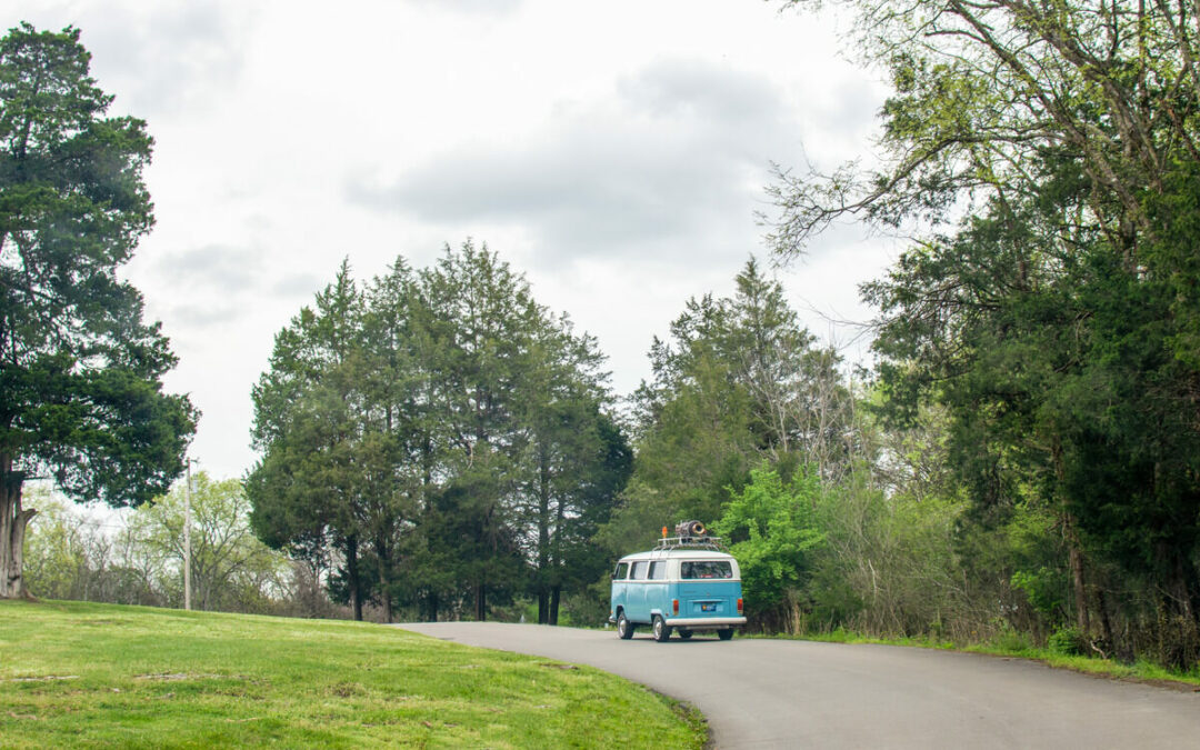 Have You Seen What’s in the Backyard?