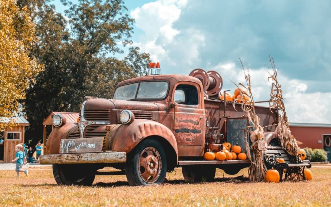 Grab a Pumpkin Make Some Memories – We Recommend Visiting These Farm Attractions and Pumpkin Patches This Season!