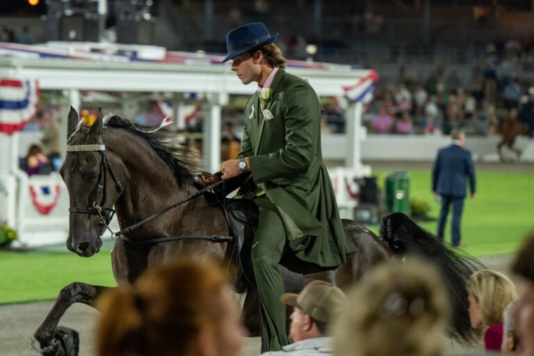 Tennessee Walking Horse National Celebration