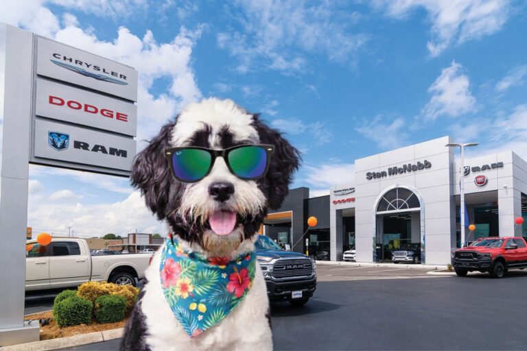 Stan McNabb Automotive: The Dog Days of Savings Are Here!